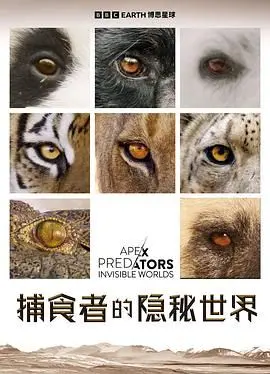 《捕食者的隐秘世界》：揭秘自然界顶级猎手的生存法则，弱肉强食的残酷真相！