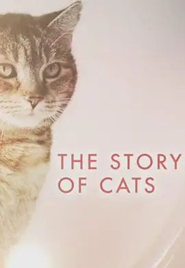 《猫科动物的故事》：史诗级的猫咪生存图鉴，一段关于守护与重生的动人传奇！